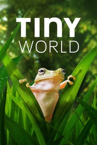 Thế Giới Siêu Nhỏ (Phần 2) | Tiny World (Season 2) (2021)